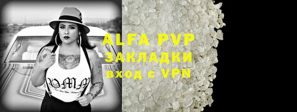 крисы Абаза