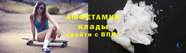 индика Пестово