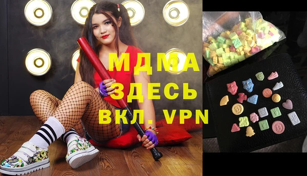 прущие грибы Переславль-Залесский