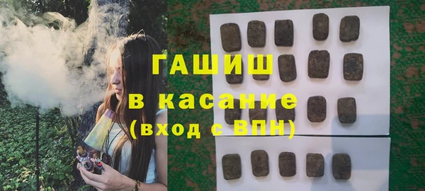 прущие грибы Ельня
