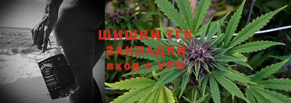 крисы Абаза